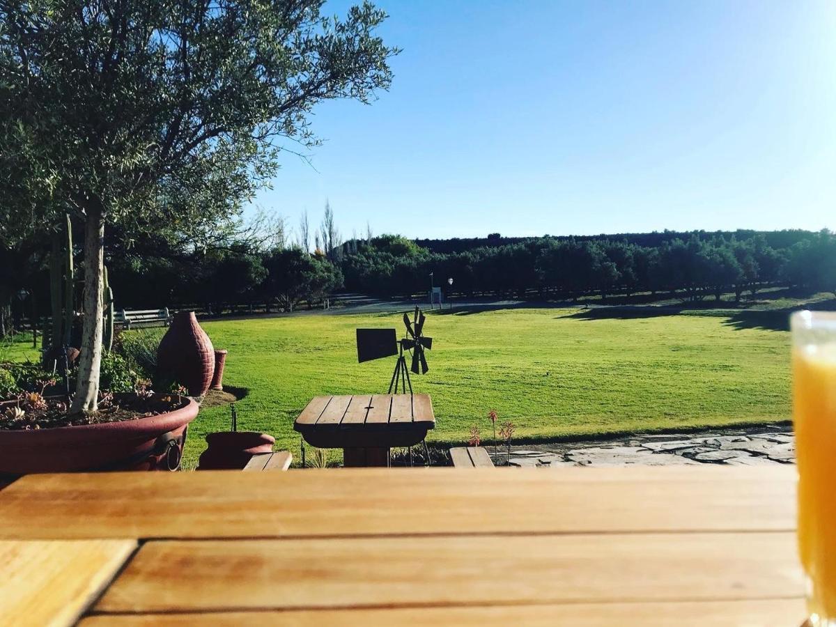 Olive Grove Guest Farm Villa Beaufort West Exterior photo