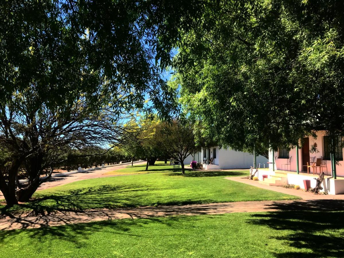 Olive Grove Guest Farm Villa Beaufort West Exterior photo