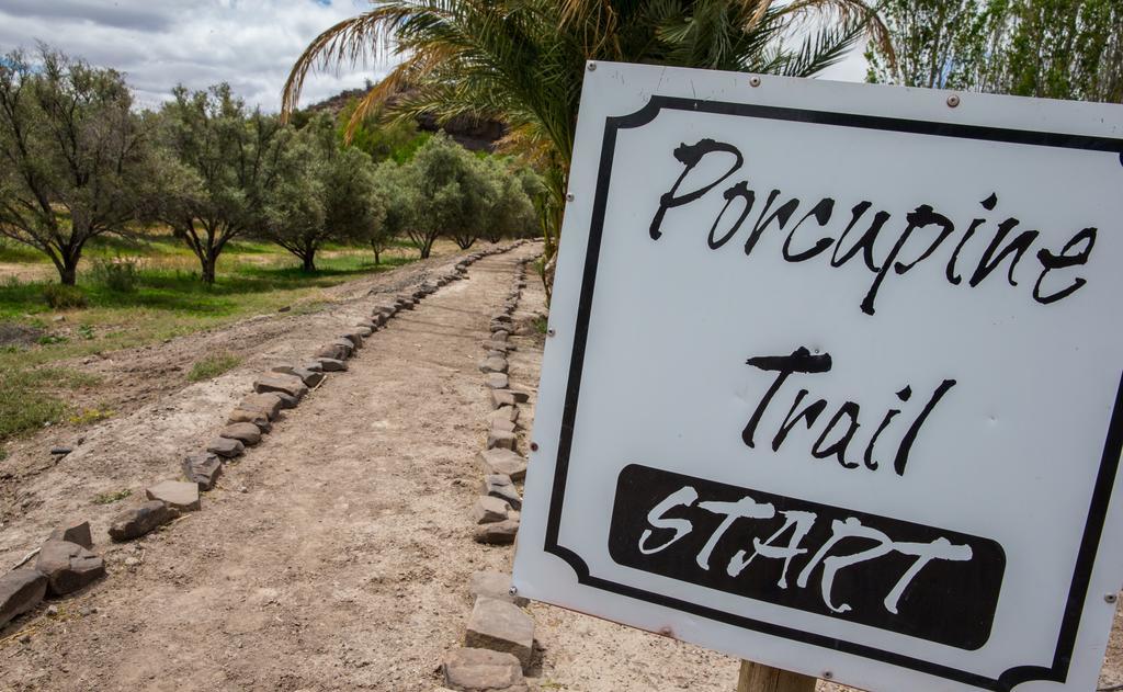 Olive Grove Guest Farm Villa Beaufort West Exterior photo