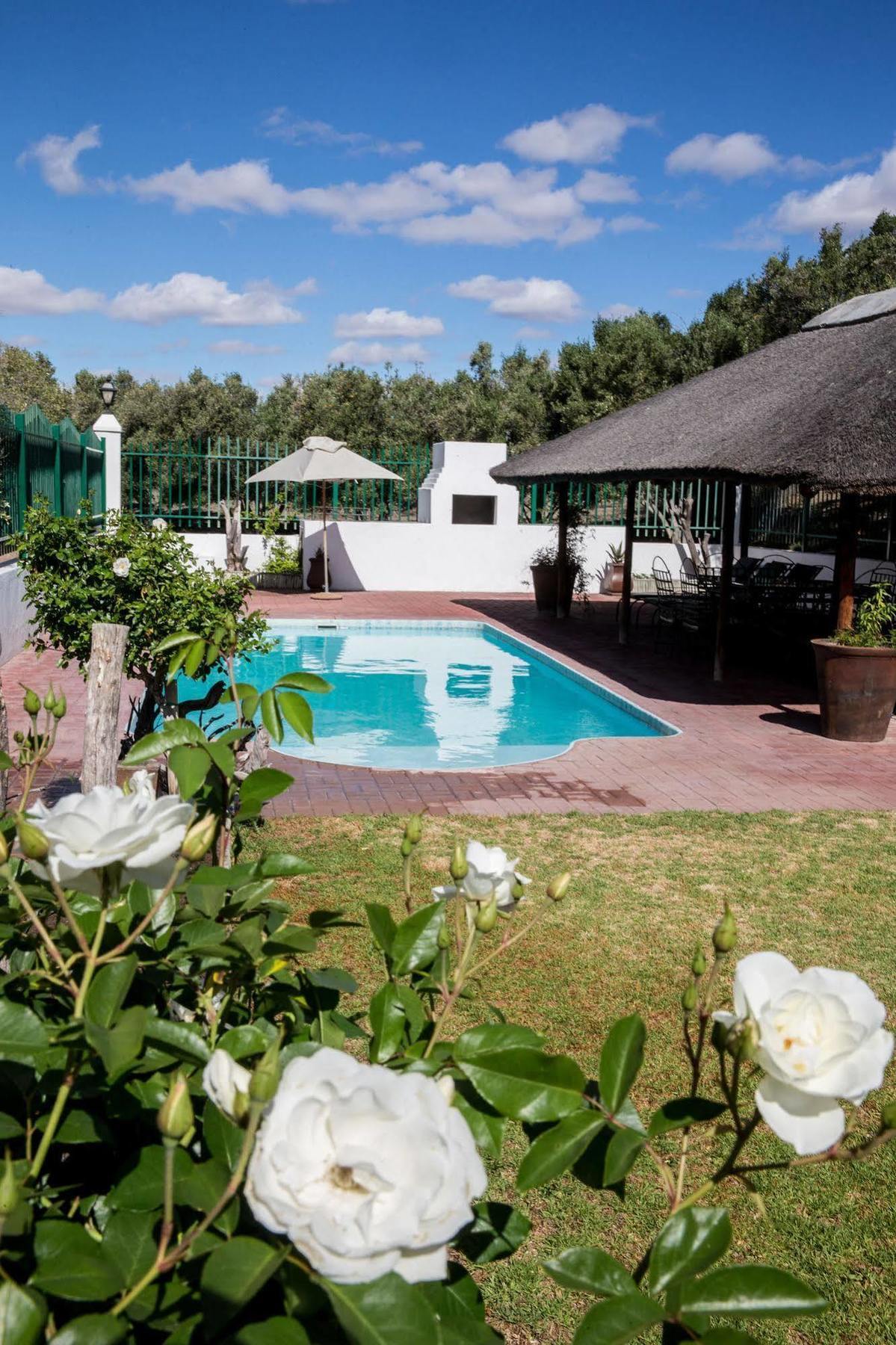 Olive Grove Guest Farm Villa Beaufort West Exterior photo